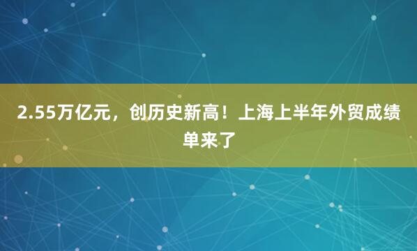 2.55万亿元，创历史新高！上海上半年外贸成绩单来了