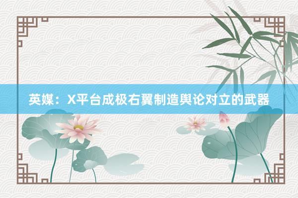 英媒：X平台成极右翼制造舆论对立的武器