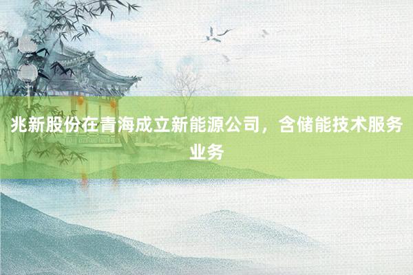 兆新股份在青海成立新能源公司，含储能技术服务业务
