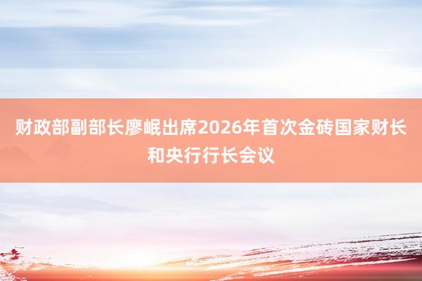 财政部副部长廖岷出席2026年首次金砖国家财长和央行行长会议