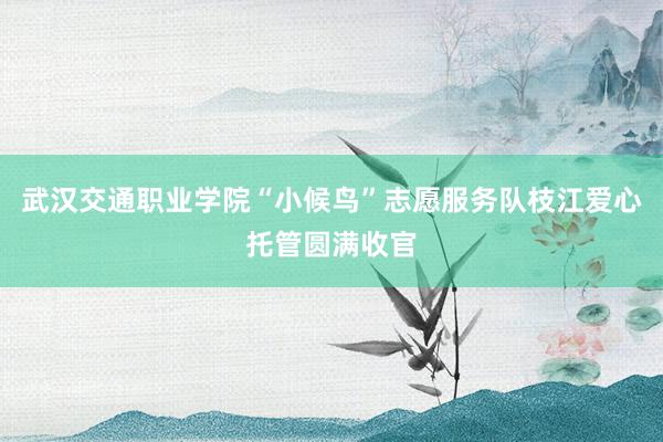 武汉交通职业学院“小候鸟”志愿服务队枝江爱心托管圆满收官