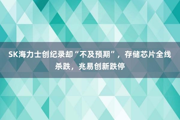 SK海力士创纪录却“不及预期”，存储芯片全线杀跌，兆易创新跌停