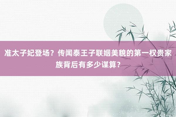 准太子妃登场？传闻泰王子联姻美貌的第一权贵家族背后有多少谋算？