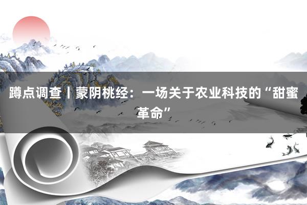 蹲点调查丨蒙阴桃经：一场关于农业科技的“甜蜜革命”