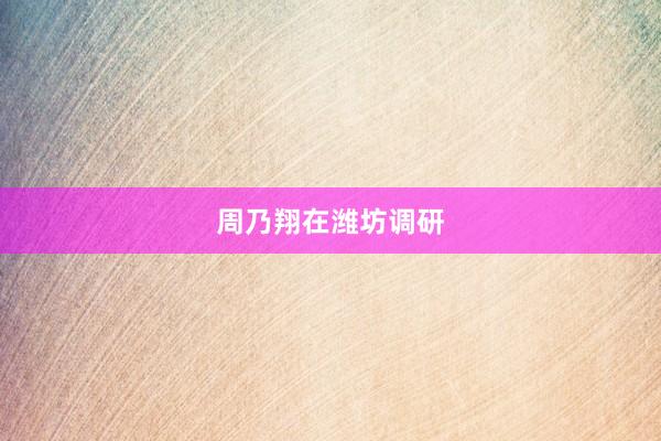 周乃翔在潍坊调研