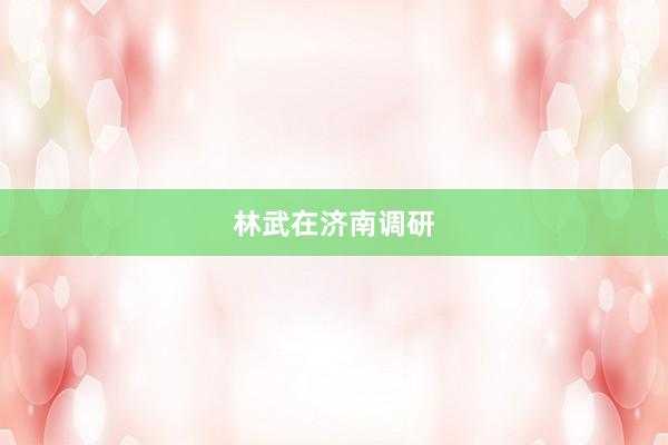 林武在济南调研
