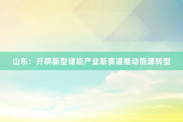 山东：开辟新型储能产业新赛道推动能源转型