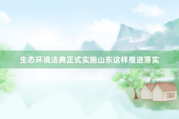 生态环境法典正式实施山东这样推进落实
