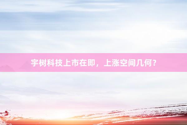 宇树科技上市在即，上涨空间几何？