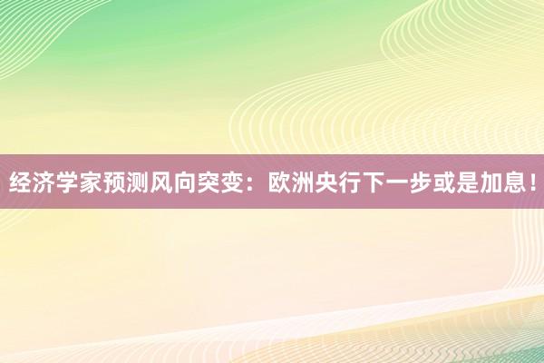经济学家预测风向突变：欧洲央行下一步或是加息！