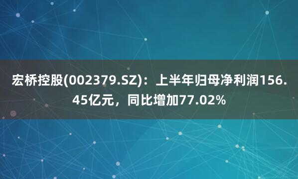 宏桥控股(002379.SZ)：上半年归母净利润156.45亿元，同比增加77.02%