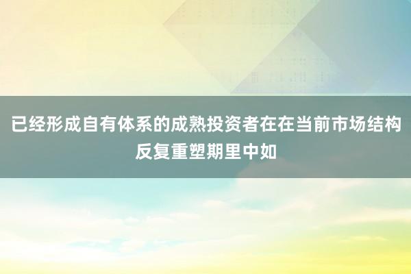 已经形成自有体系的成熟投资者在在当前市场结构反复重塑期里中如