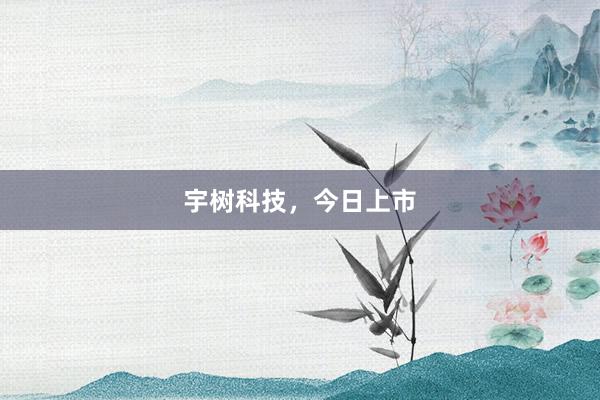 宇树科技，今日上市