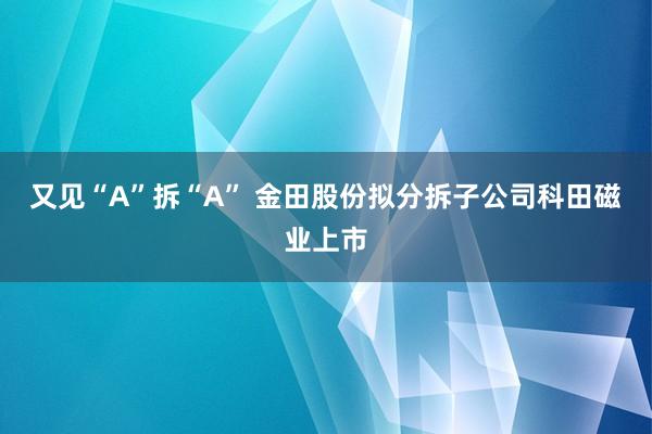 又见“A”拆“A” 金田股份拟分拆子公司科田磁业上市