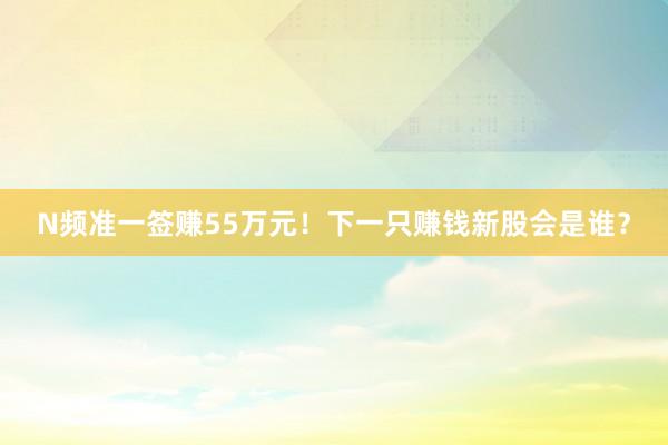 N频准一签赚55万元！下一只赚钱新股会是谁？