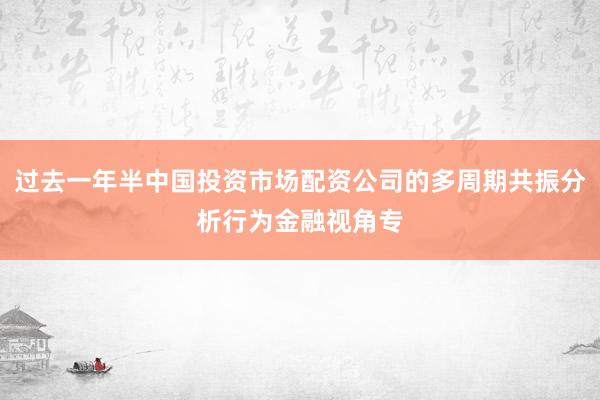 过去一年半中国投资市场配资公司的多周期共振分析行为金融视角专