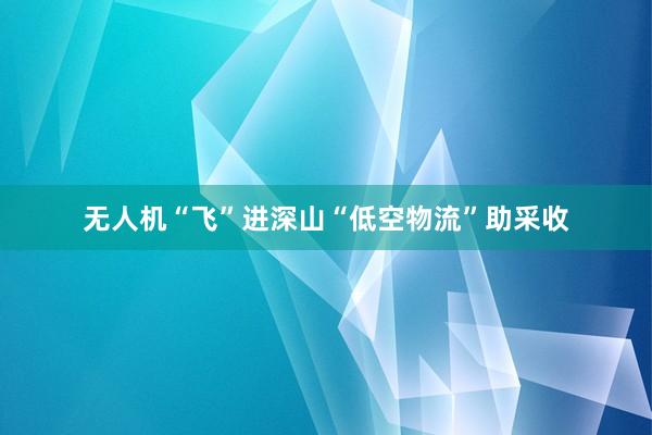 无人机“飞”进深山“低空物流”助采收
