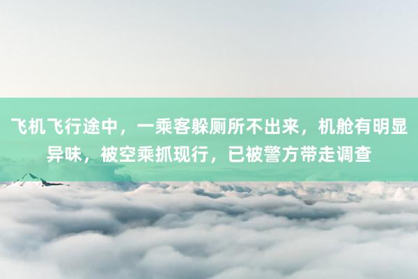 飞机飞行途中，一乘客躲厕所不出来，机舱有明显异味，被空乘抓现行，已被警方带走调查