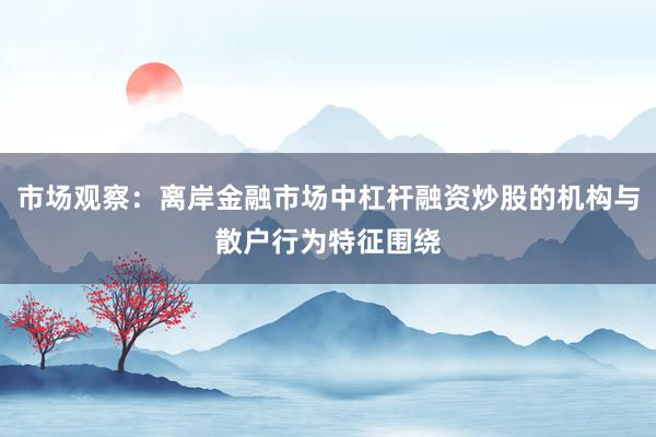 市场观察：离岸金融市场中杠杆融资炒股的机构与散户行为特征围绕
