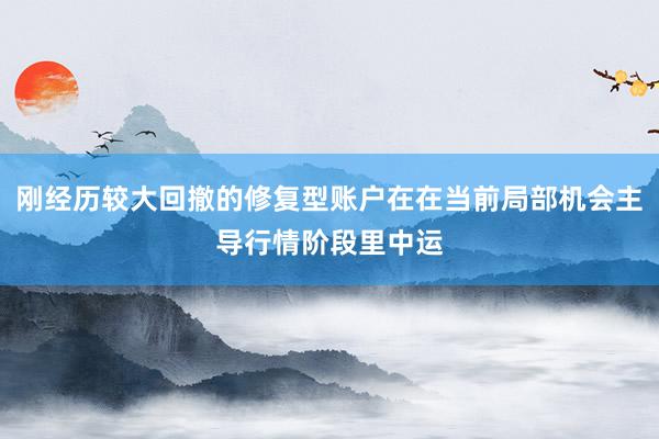 刚经历较大回撤的修复型账户在在当前局部机会主导行情阶段里中运