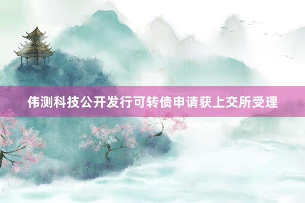伟测科技公开发行可转债申请获上交所受理