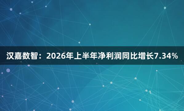 汉嘉数智：2026年上半年净利润同比增长7.34%
