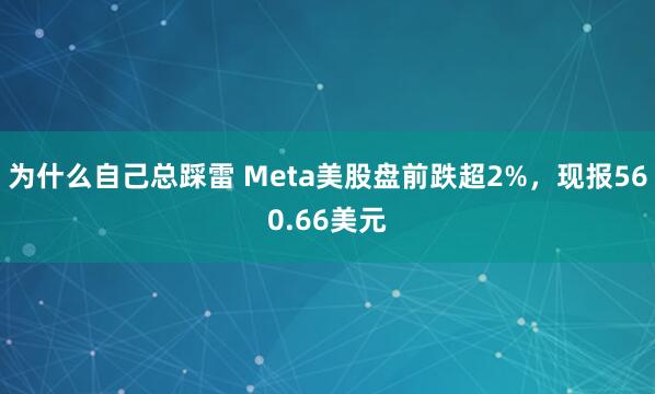 为什么自己总踩雷 Meta美股盘前跌超2%，现报560.66美元