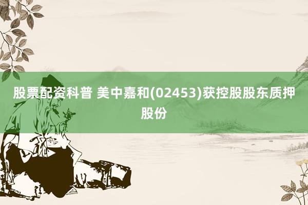 股票配资科普 美中嘉和(02453)获控股股东质押股份