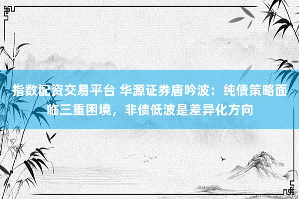 指数配资交易平台 华源证券唐吟波：纯债策略面临三重困境，非债低波是差异化方向