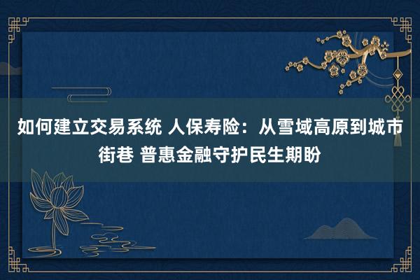 如何建立交易系统 人保寿险：从雪域高原到城市街巷 普惠金融守护民生期盼