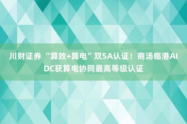 川财证券 “算效+算电”双5A认证！商汤临港AIDC获算电协同最高等级认证