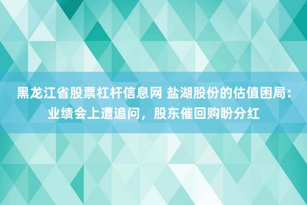 黑龙江省股票杠杆信息网 盐湖股份的估值困局：业绩会上遭追问，股东催回购盼分红