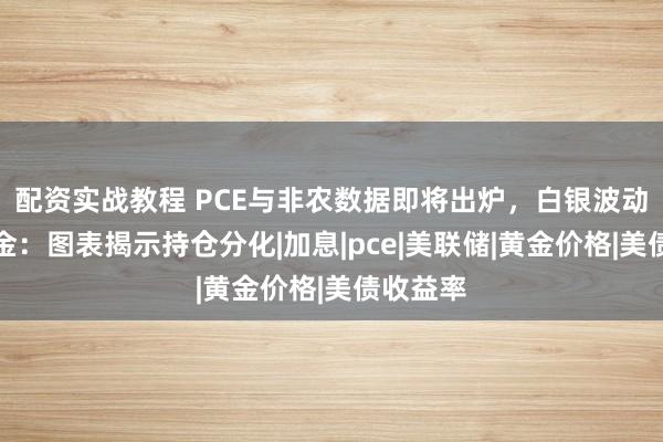 配资实战教程 PCE与非农数据即将出炉,白银波动大于黄金:图表揭示持仓分化|加息|pce|美联储|黄金价格|美债收益率