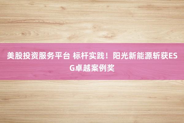 美股投资服务平台 标杆实践！阳光新能源斩获ESG卓越案例奖