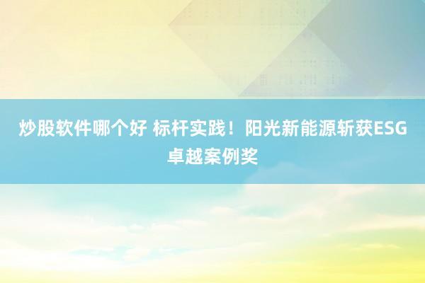 炒股软件哪个好 标杆实践！阳光新能源斩获ESG卓越案例奖
