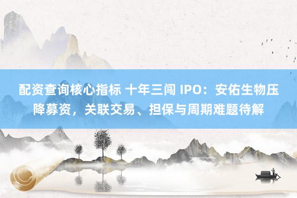 配资查询核心指标 十年三闯 IPO：安佑生物压降募资，关联交易、担保与周期难题待解