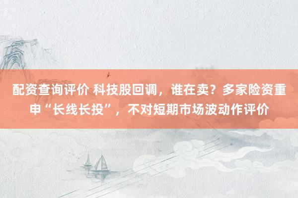 配资查询评价 科技股回调，谁在卖？多家险资重申“长线长投”，不对短期市场波动作评价