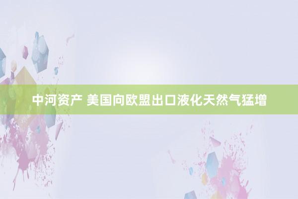 中河资产 美国向欧盟出口液化天然气猛增